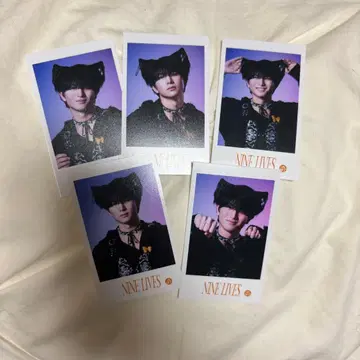 NINE LIVES 하루 미니 사진