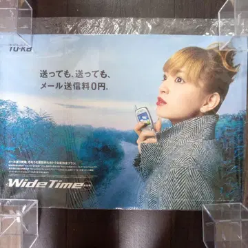 하마사키 아유미 TU-KA 자동차 내부 걸이 포스터 2 B2 사이즈