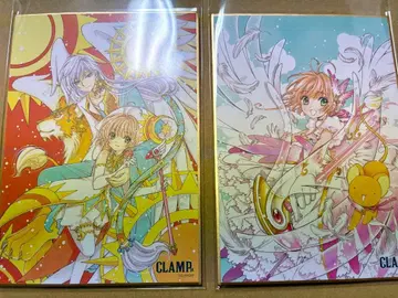 CLAMP전 미니 색지 CC 사쿠라