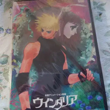 [ 레어 명작 ] 윈다리아 DVD 이노마타 무츠미 캐릭터 디자인