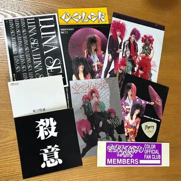 COLOR + 비주얼계 스티커 세트 Marry 피크