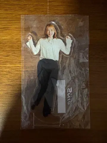 걸스 경륜 코다마 아오이 아크릴 스탠드