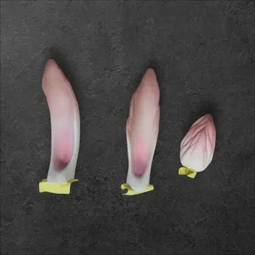 [ Luts ] 토끼 귀와 꼬리 세트