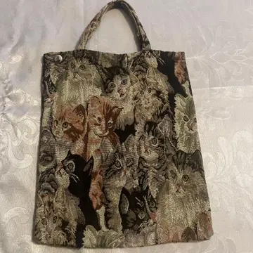 BLESS 캣 백 레어