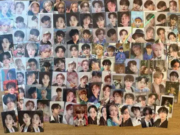 윤사나 트레이딩 카드