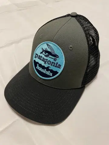 patagonia 메쉬 캡 그레이/블랙