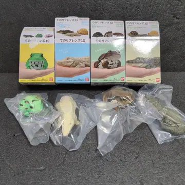 테노리 프렌즈 12