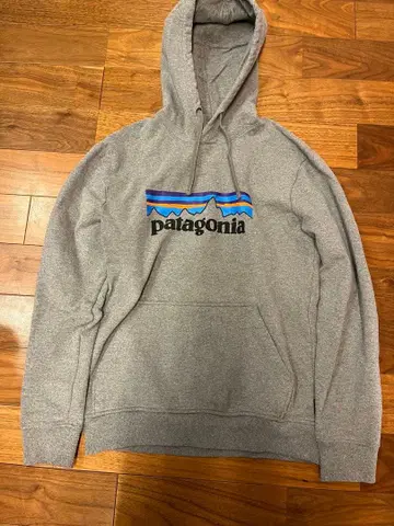 patagonia 후드티