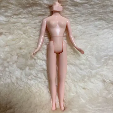 브라이스, 정품 바디 하자 있음.