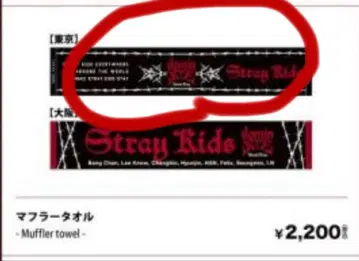 straykids 타월 dominATE 도쿄