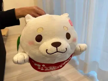 모치시바 화이트 강아지 봉제 인형