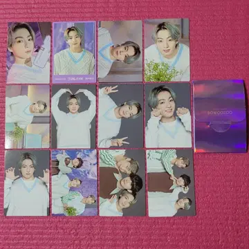 BTS 정국 SOWOZOO 미니 사진 12장 세트 케이스 포함
