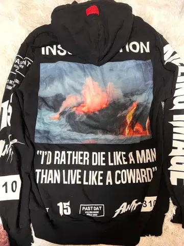 the GazettE 15주년 후드티 둔함의 벚꽃