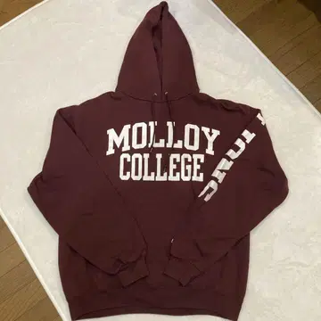 챔피온 champion 후드 맨투맨 사이즈 L 버건디