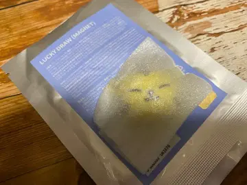 seventeen miniteen 호시 마그넷 미니틴