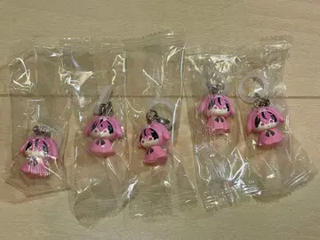 시쿠포니 LAN 가샤폰 메지루시 액세서리 5개 가챠가챠