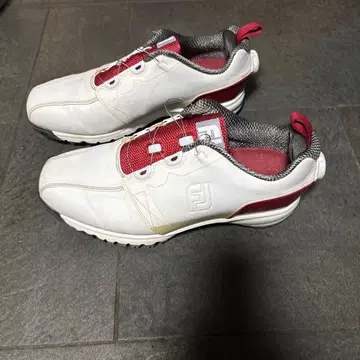 FOOTJOY 골프화 남성용 54143J