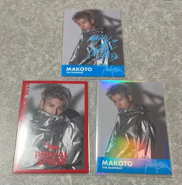 THERAMPAGE 하세가와 신 포토 카드 시크릿 익명 배송