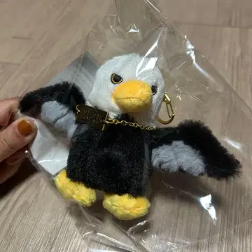 Mrs. GREEN APPLE 사용 새 마스코트 키링