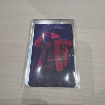 우라시마사카타센 미니 사진 카드 사후 통신판매 WARN12G