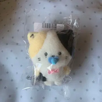 제베원 ZB1 제로니 리니니 리키