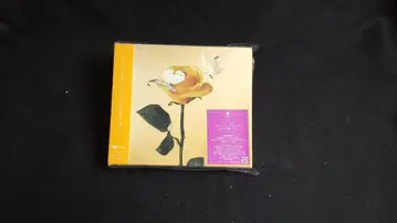 [ 미개봉 ] 맛있는 파스타가 있다고 들어서 최초 한정 혜택