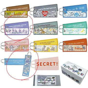 디즈니 플라이트 택