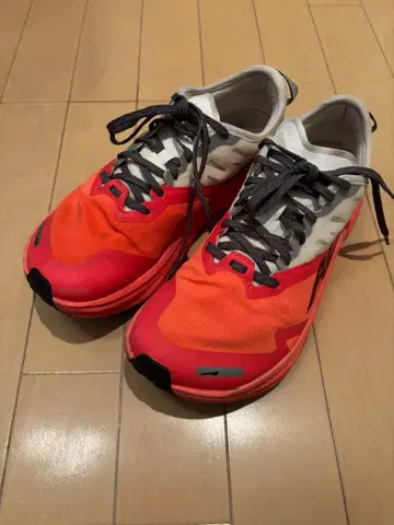 알트라 몽블랑 카본 트레일 러닝 신발