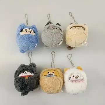 전 6종 세트 [고양이로 환생한 아저씨 포근 누이]