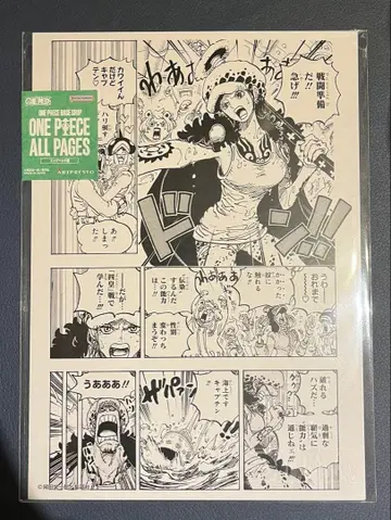 원피스 올 페이지 로 여체화 로