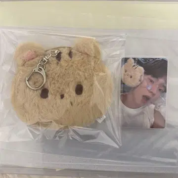 theboyz Q 더보이즈 큐 md 파우치 트레이딩 카드