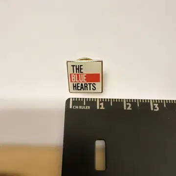 THE BLUE HEARTS 핀 배지