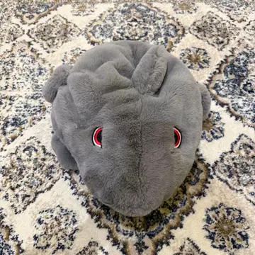 유니버셜 죠스 모자