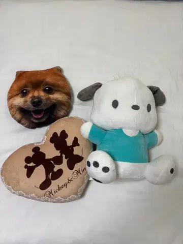 포차코 봉제 인형