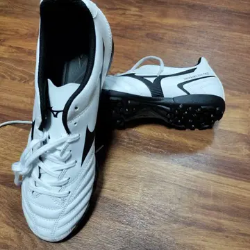 Mizuno Monarcida Neo 축구 트레이닝화 26.0 cm