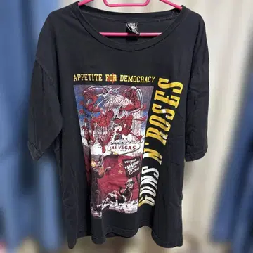 Guns N' Roses Appetite for Democracy