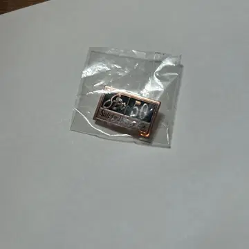 도미노피자 핀 배지