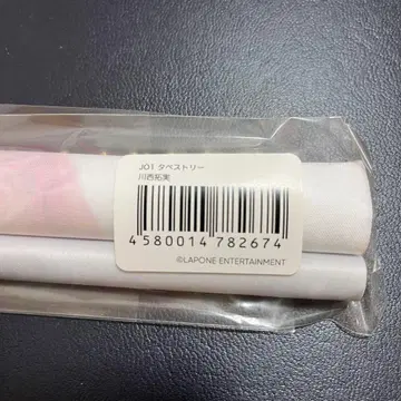 JO1 museum 태피스트리 카와니시 타쿠미