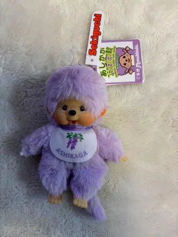 아시카가 플라워 파크 몬치치 지역 한정 몬치치