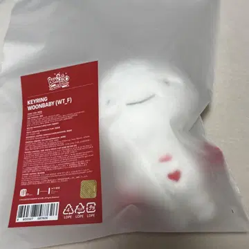 BOYNEXTDOOR BBNEXDO 보이넥스트도어 키링 운학 운아기