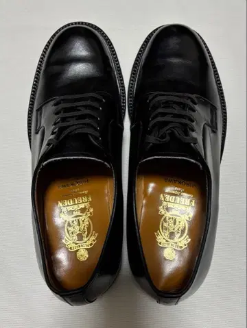 SCOTCH GRAIN FREUDEN 히로카와 제화 플레이트 가죽 신발