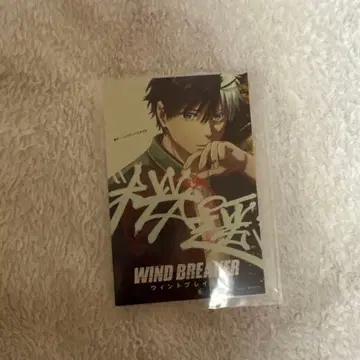 WIND BREAKER 입장 혜택