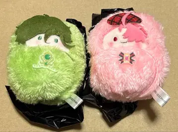 NU 카니발 싸개 타피누이 올리빈 에스터