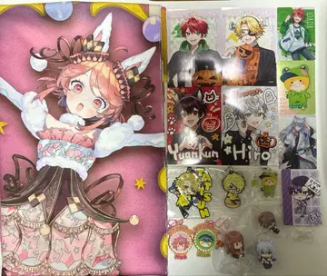 컬러풀피치 카라피치 묶음 판매 세트