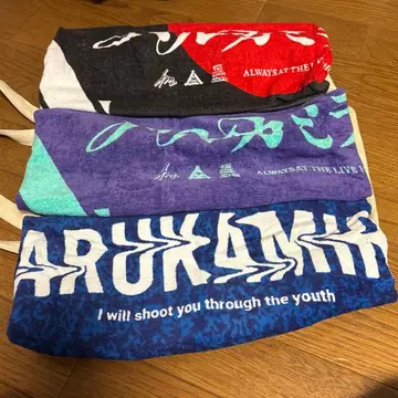 하루카미라이 타월 3개 세트