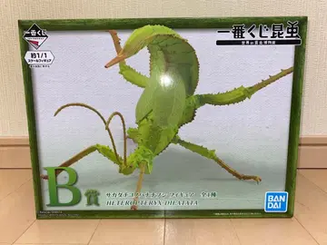 제일복권 곤충 세계의 곤충 박물관 B상 사카다치코노하나나후시 피규어