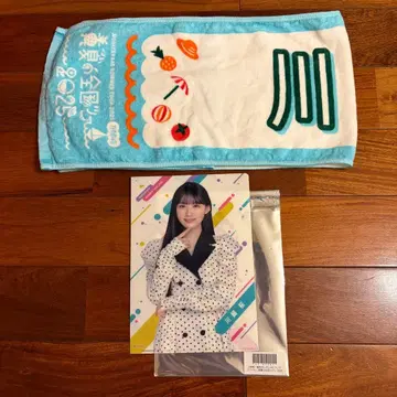 카와사키 벚꽃 한여름 전국 투어 2025 타월 클리어 파일