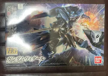 HG 1/144 건담 비다르