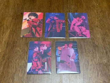 우라시마사카타센 WARN12G 랜덤 미니 포토 카드 시마 세트