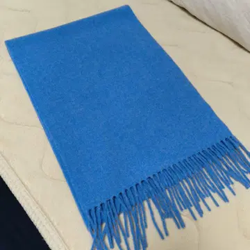 GOBI 몽골 캐시미어 머플러 파랑